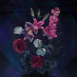 Image aléatoire d'événement